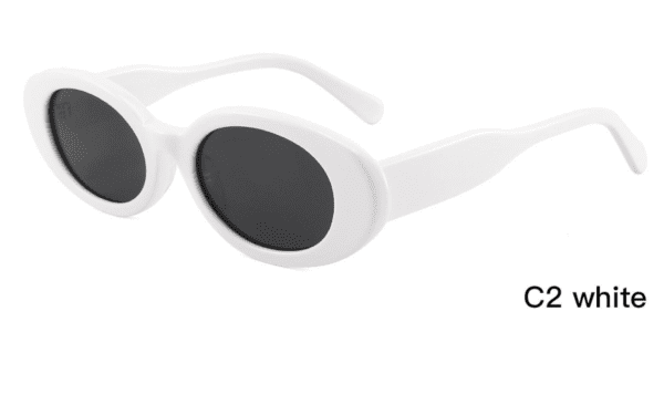 Sunglasses Model ZD8836 C2 White Display