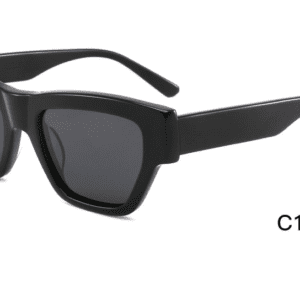 Sunglasses Model ZD8838 C1 Black Display