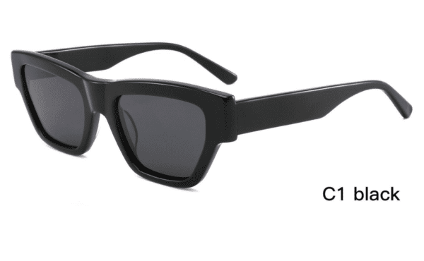 Sunglasses Model ZD8838 C1 Black Display