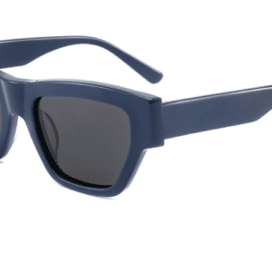 Sunglasses Model ZD8838 C2 Blue Display