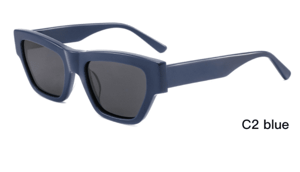 Sunglasses Model ZD8838 C2 Blue Display