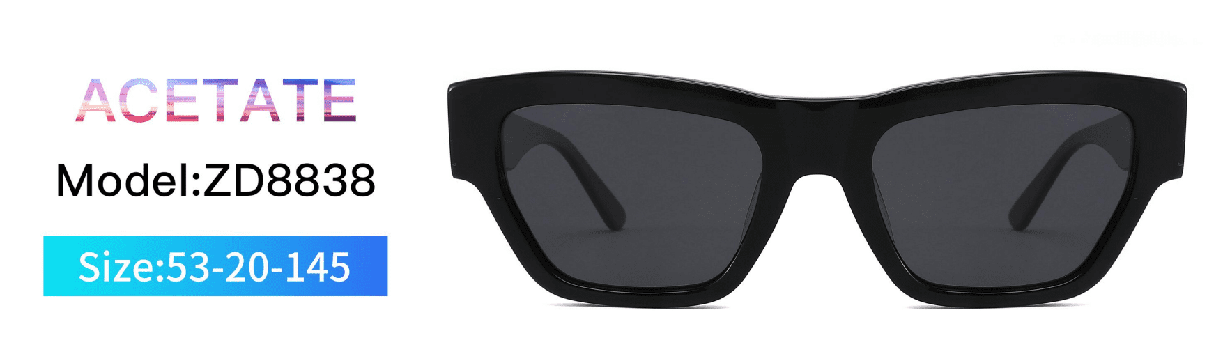 Sunglasses Model ZD8838 Front display