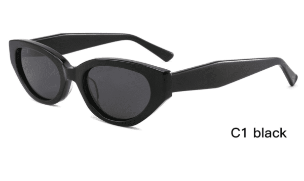 Sunglasses Model ZD8839 C1 Black Display
