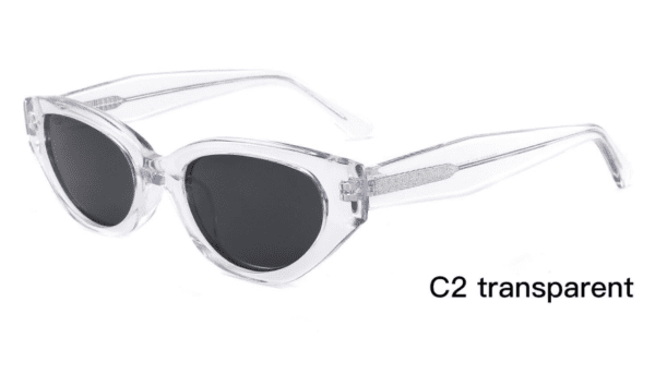 Sunglasses Model ZD8839 C2 Transparent Display