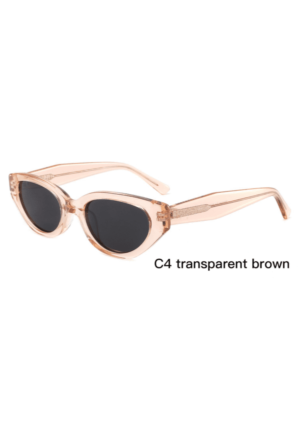 Sunglasses Model ZD8839 C4 Transparent Brown Display