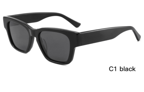 Sunglasses Model ZD8840 C1 Black Display