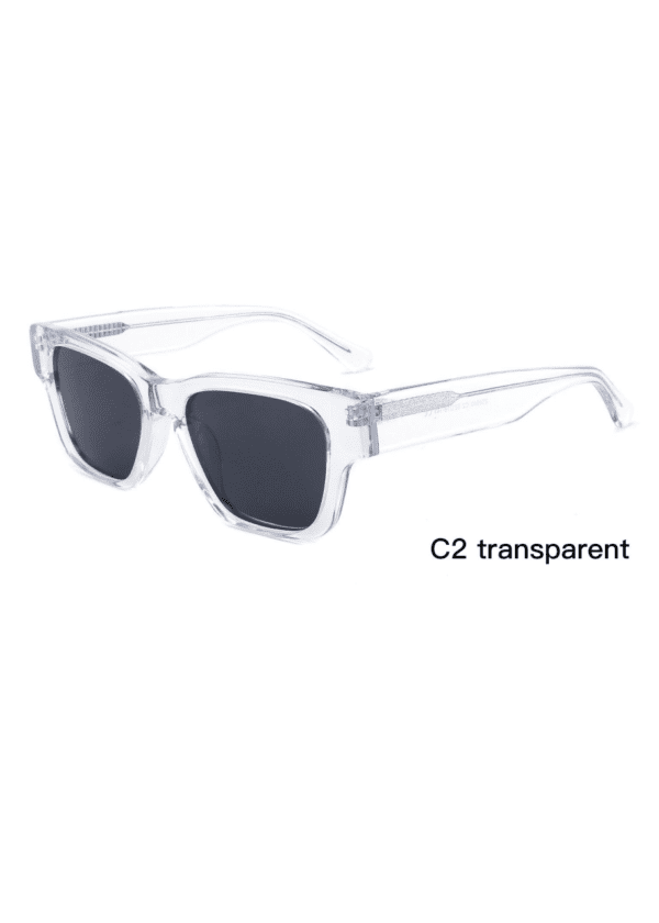 Sunglasses Model ZD8840 C2 Transparent Display