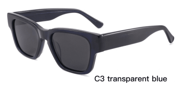 Sunglasses Model ZD8840 C3 Transparent Blue Display
