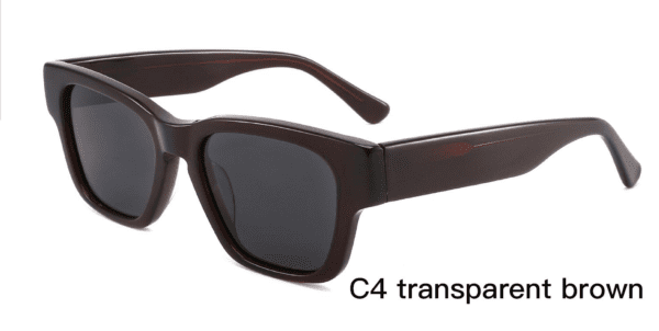 Sunglasses Model ZD8840 C4 Transparent Brown Display
