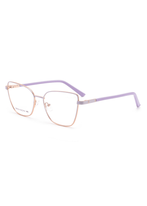 Geometric, Color Changing, Cat Eye Eyeglass Frames, China glasses supplier, glasses accessories, glasses side display