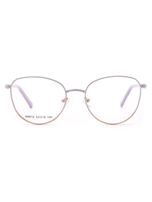 Wholesale Color Changing Glasses Frames, China Zhejiang glasses distributor, light-sensitive, glasses accessories, stainless steel