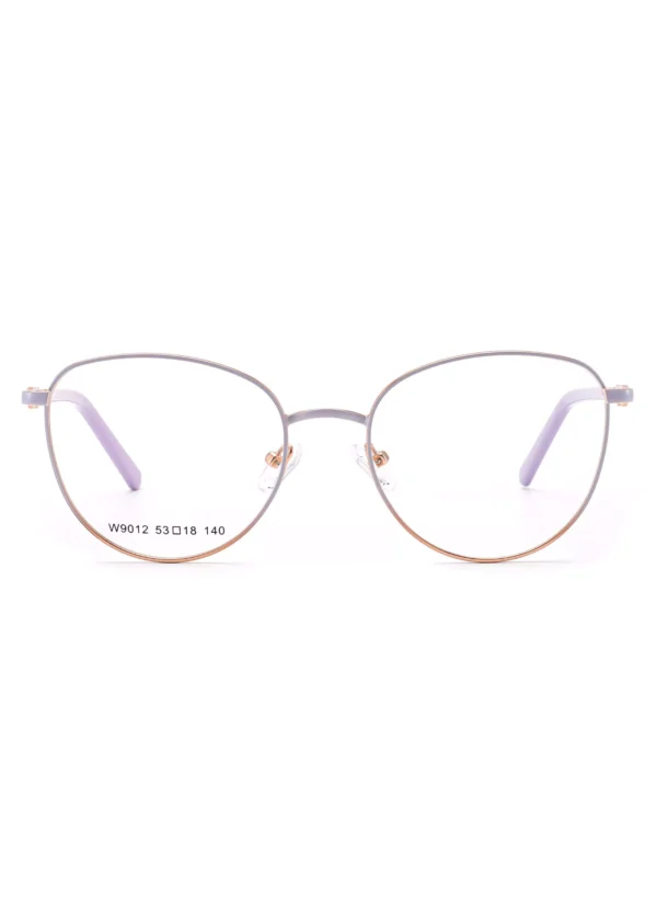 Wholesale Color Changing Glasses Frames, China Zhejiang glasses distributor, light-sensitive, glasses accessories, stainless steel