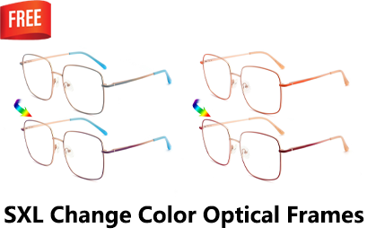 XSL Change Color Lady Metal Optical Frames Catalog