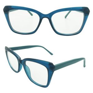 Butterfly Shape CP Glasses NOCP24028 C3 52-17-140